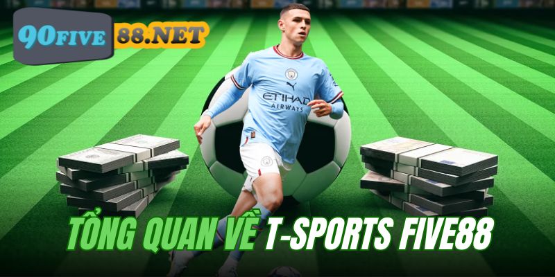 Những điều chưa biết về sảnh cá cược thể thao T-SPORTS